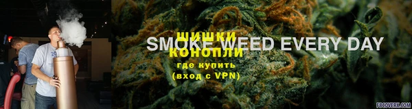 мяу мяу мука Арсеньев